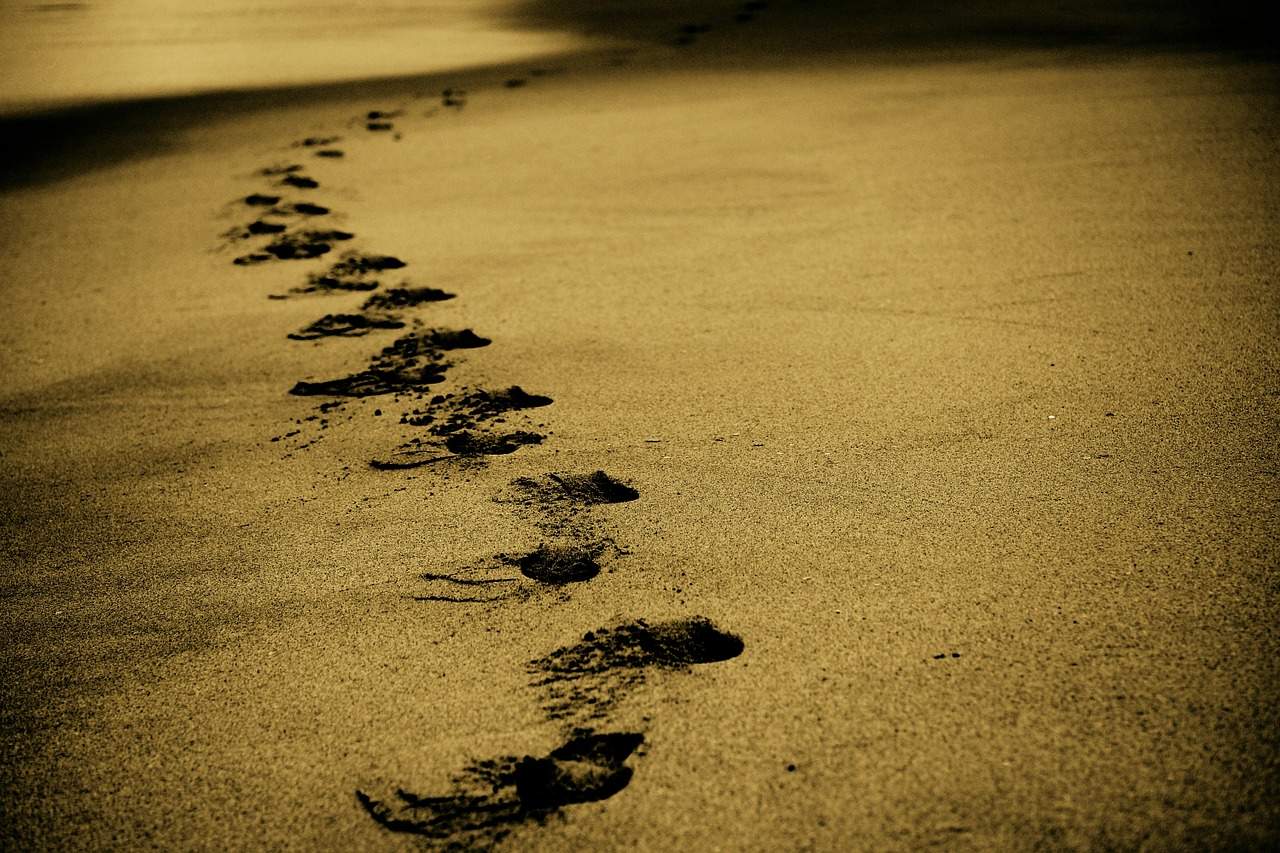 My Investing Journey
