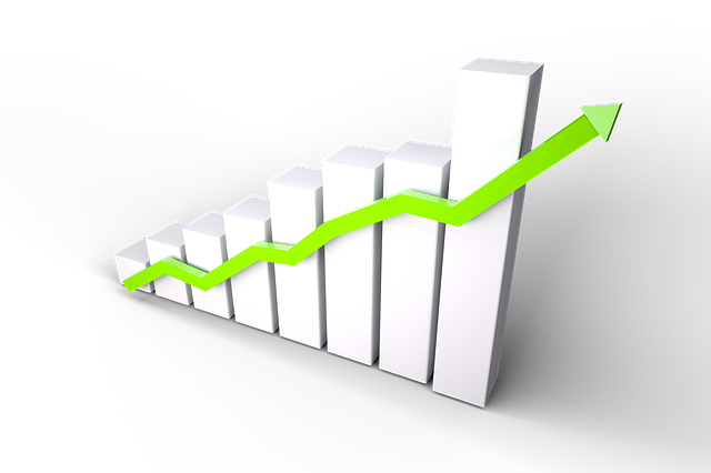 As a new investor, how do I decide which company’s to invest in?