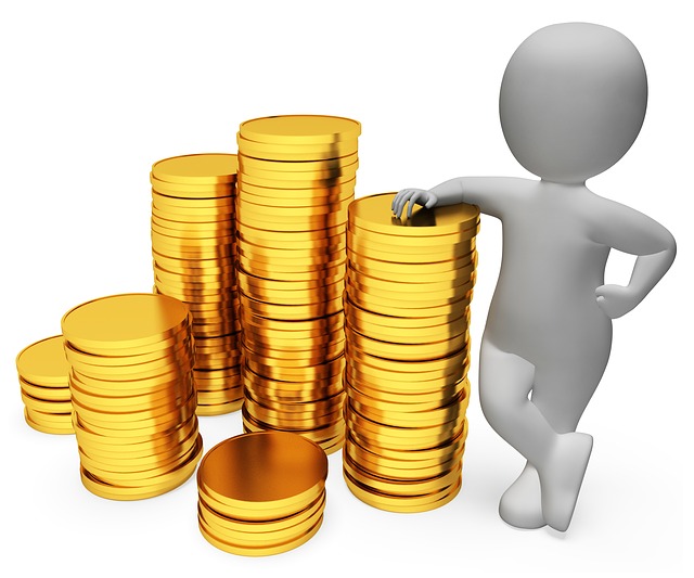 Should I contribute to a Roth IRA or 401k plan?