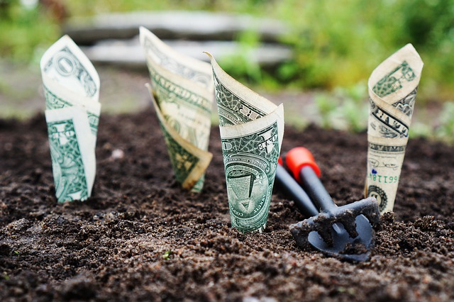 Annuities and RMD’s.  What should I do?