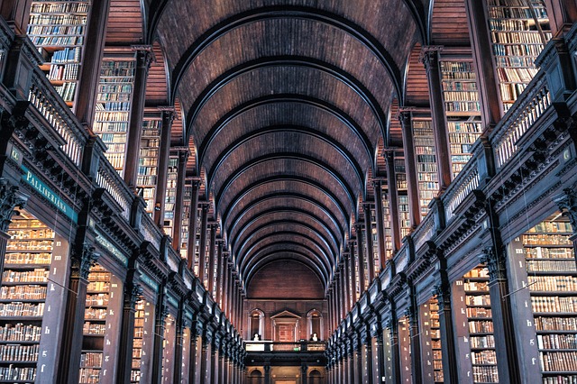 Investing in an IRA while in college
